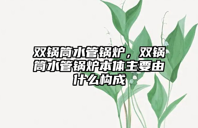 雙鍋筒水管鍋爐，雙鍋筒水管鍋爐本體主要由什么構(gòu)成