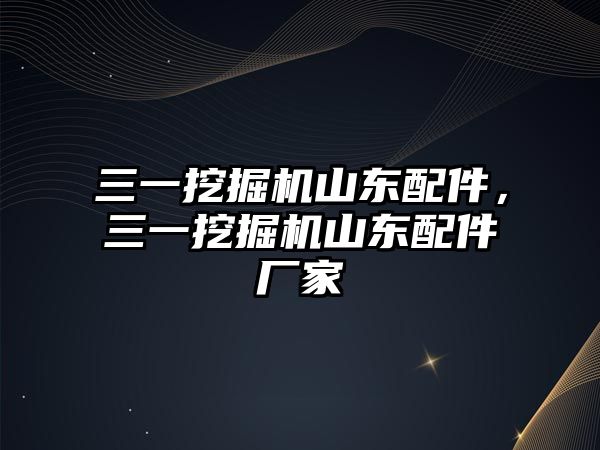 三一挖掘機山東配件，三一挖掘機山東配件廠家