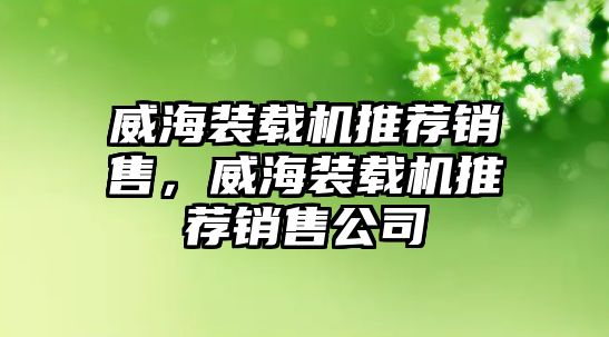 威海裝載機推薦銷售，威海裝載機推薦銷售公司