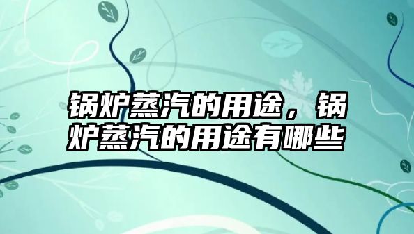 鍋爐蒸汽的用途，鍋爐蒸汽的用途有哪些