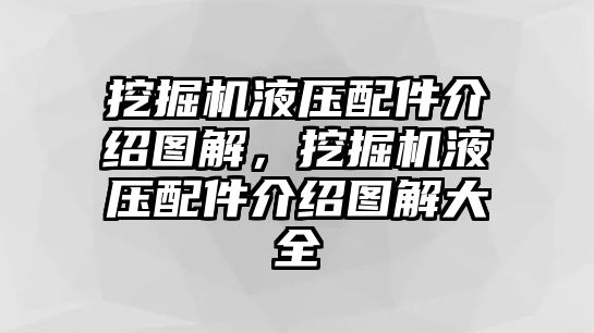 挖掘機(jī)液壓配件介紹圖解，挖掘機(jī)液壓配件介紹圖解大全