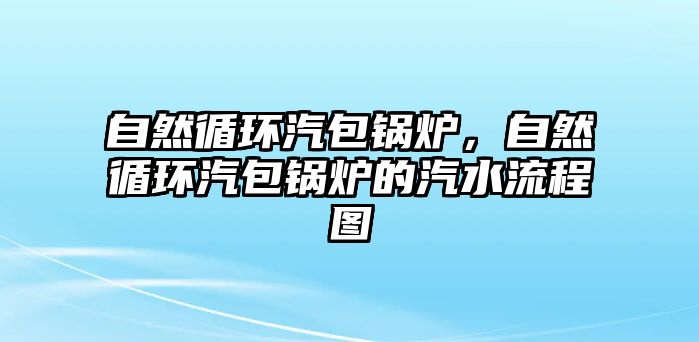 自然循環(huán)汽包鍋爐，自然循環(huán)汽包鍋爐的汽水流程圖