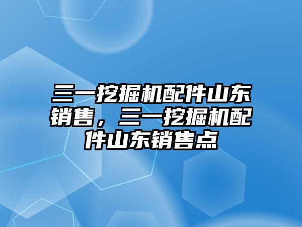 三一挖掘機配件山東銷售，三一挖掘機配件山東銷售點