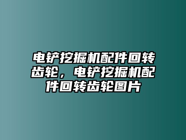 電鏟挖掘機配件回轉(zhuǎn)齒輪，電鏟挖掘機配件回轉(zhuǎn)齒輪圖片