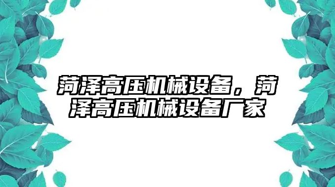 菏澤高壓機(jī)械設(shè)備，菏澤高壓機(jī)械設(shè)備廠家