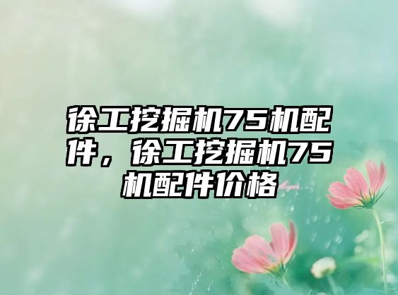 徐工挖掘機(jī)75機(jī)配件，徐工挖掘機(jī)75機(jī)配件價(jià)格