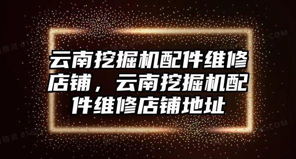 云南挖掘機(jī)配件維修店鋪，云南挖掘機(jī)配件維修店鋪地址