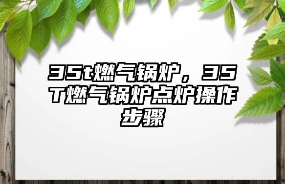 35t燃?xì)忮仩t，35T燃?xì)忮仩t點(diǎn)爐操作步驟