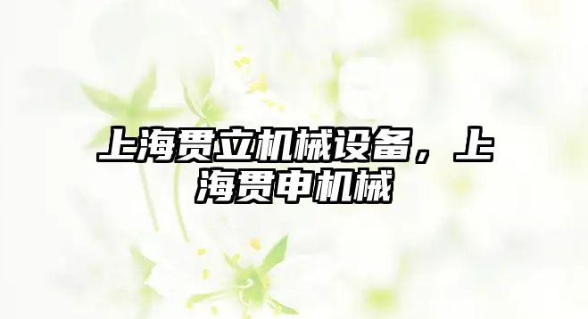 上海貫立機械設(shè)備，上海貫申機械