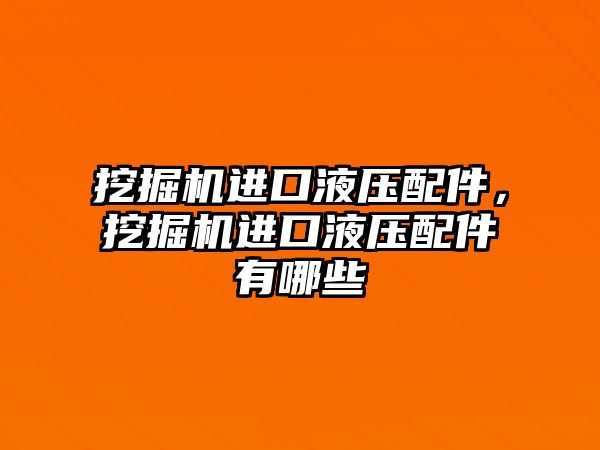 挖掘機進(jìn)口液壓配件，挖掘機進(jìn)口液壓配件有哪些