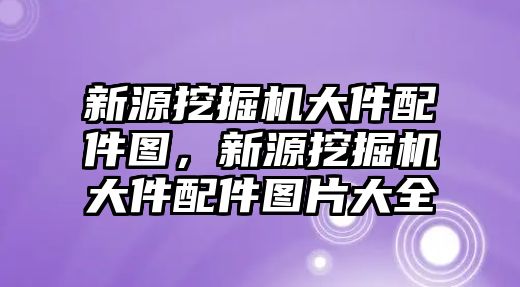 新源挖掘機(jī)大件配件圖，新源挖掘機(jī)大件配件圖片大全