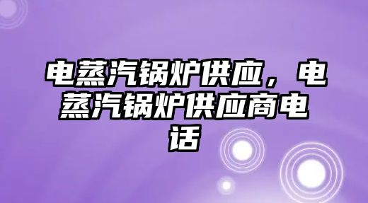 電蒸汽鍋爐供應(yīng)，電蒸汽鍋爐供應(yīng)商電話