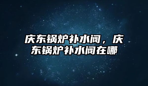 慶東鍋爐補水閥，慶東鍋爐補水閥在哪