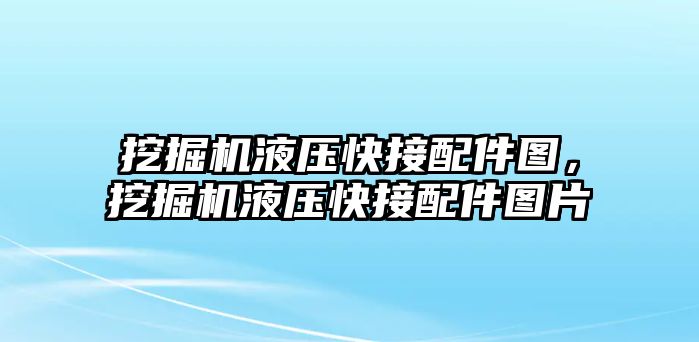 挖掘機液壓快接配件圖，挖掘機液壓快接配件圖片