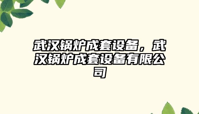 武漢鍋爐成套設(shè)備，武漢鍋爐成套設(shè)備有限公司