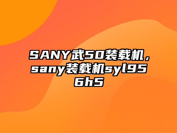 SANY武50裝載機，sany裝載機syl956h5