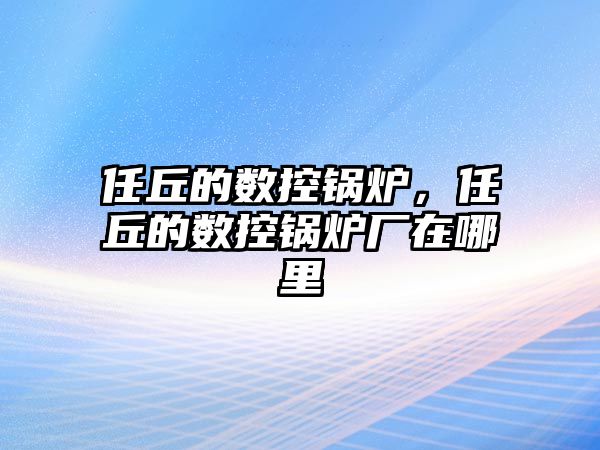 任丘的數(shù)控鍋爐，任丘的數(shù)控鍋爐廠在哪里