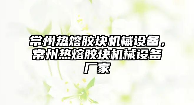 常州熱熔膠塊機械設備，常州熱熔膠塊機械設備廠家