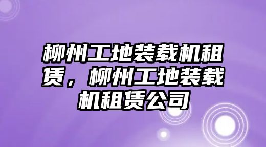 柳州工地裝載機(jī)租賃，柳州工地裝載機(jī)租賃公司