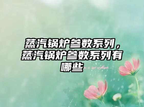 蒸汽鍋爐參數(shù)系列，蒸汽鍋爐參數(shù)系列有哪些