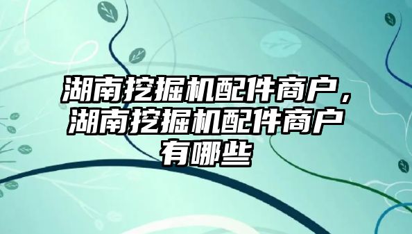 湖南挖掘機(jī)配件商戶，湖南挖掘機(jī)配件商戶有哪些