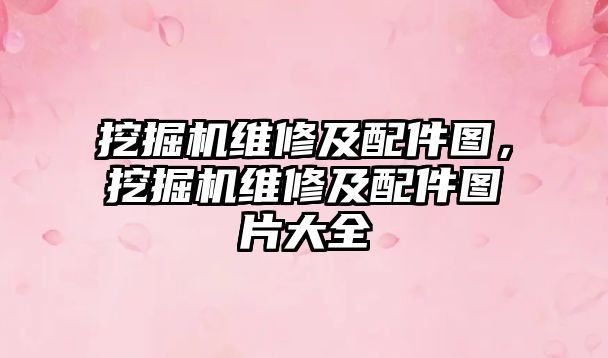 挖掘機維修及配件圖，挖掘機維修及配件圖片大全