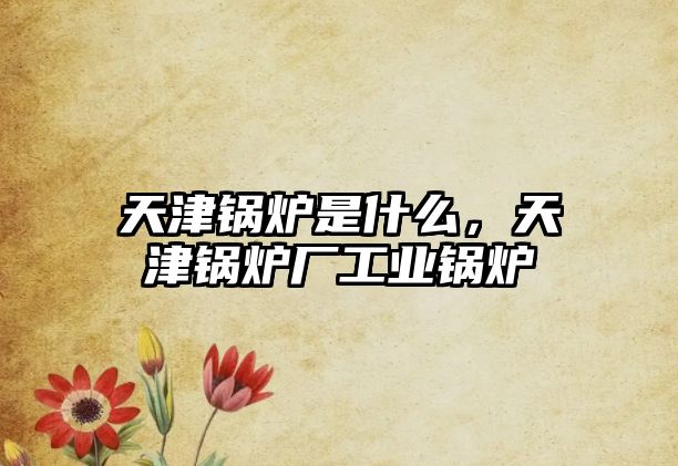 天津鍋爐是什么，天津鍋爐廠工業(yè)鍋爐