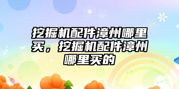 挖掘機配件漳州哪里買，挖掘機配件漳州哪里買的