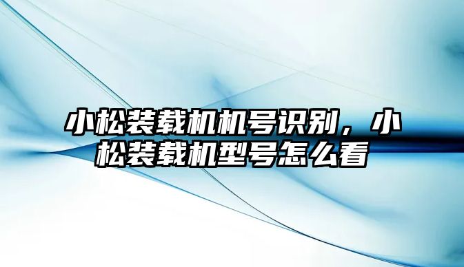 小松裝載機機號識別，小松裝載機型號怎么看