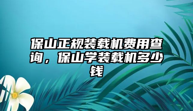 保山正規(guī)裝載機(jī)費(fèi)用查詢，保山學(xué)裝載機(jī)多少錢