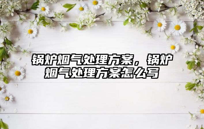 鍋爐煙氣處理方案，鍋爐煙氣處理方案怎么寫(xiě)