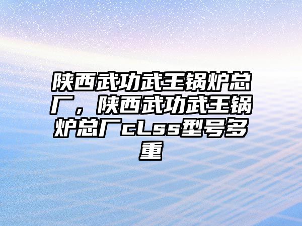 陜西武功武王鍋爐總廠，陜西武功武王鍋爐總廠cLss型號(hào)多重