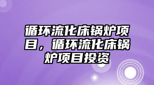 循環(huán)流化床鍋爐項目，循環(huán)流化床鍋爐項目投資