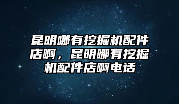 昆明哪有挖掘機(jī)配件店啊，昆明哪有挖掘機(jī)配件店啊電話