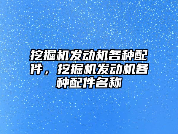 挖掘機發(fā)動機各種配件，挖掘機發(fā)動機各種配件名稱