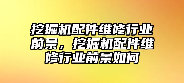 挖掘機配件維修行業(yè)前景，挖掘機配件維修行業(yè)前景如何