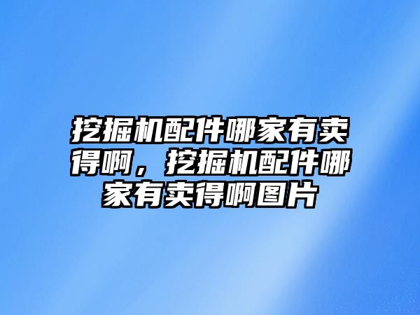 挖掘機(jī)配件哪家有賣得啊，挖掘機(jī)配件哪家有賣得啊圖片