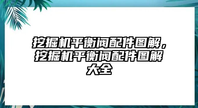 挖掘機平衡閥配件圖解，挖掘機平衡閥配件圖解大全