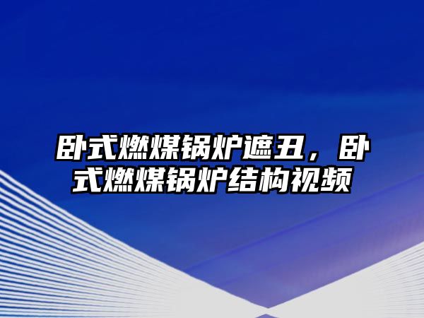 臥式燃煤鍋爐遮丑，臥式燃煤鍋爐結(jié)構(gòu)視頻