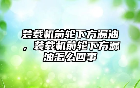 裝載機(jī)前輪下方漏油，裝載機(jī)前輪下方漏油怎么回事