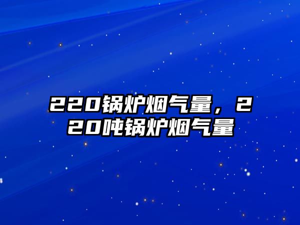 220鍋爐煙氣量，220噸鍋爐煙氣量