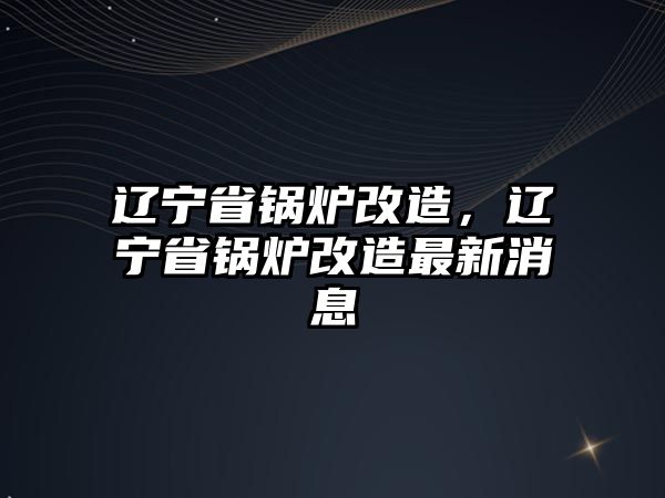 遼寧省鍋爐改造，遼寧省鍋爐改造最新消息