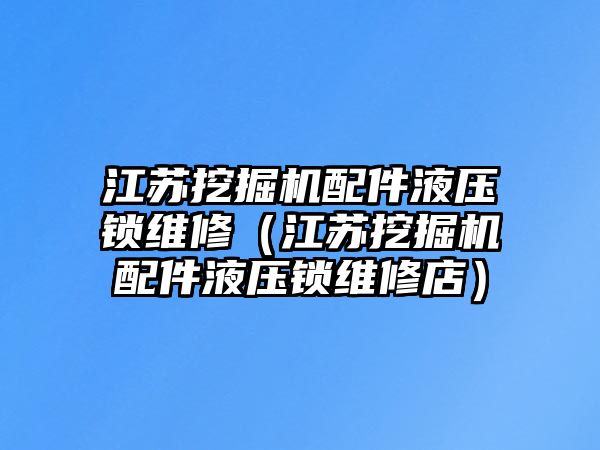 江蘇挖掘機配件液壓鎖維修（江蘇挖掘機配件液壓鎖維修店）