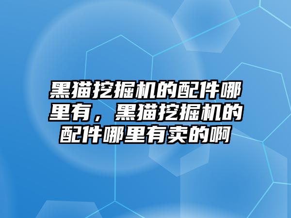 黑貓挖掘機的配件哪里有，黑貓挖掘機的配件哪里有賣的啊