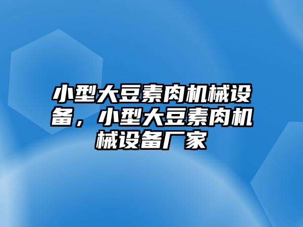 小型大豆素肉機(jī)械設(shè)備，小型大豆素肉機(jī)械設(shè)備廠家