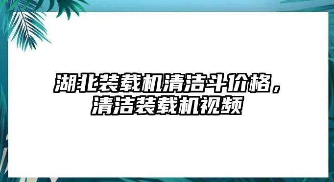 湖北裝載機清潔斗價格，清潔裝載機視頻