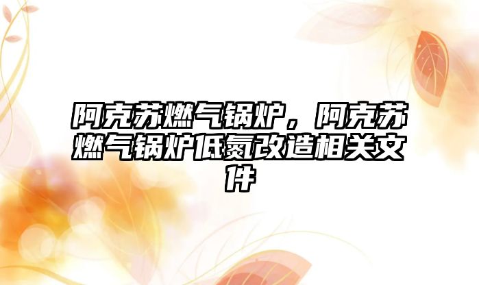 阿克蘇燃?xì)忮仩t，阿克蘇燃?xì)忮仩t低氮改造相關(guān)文件