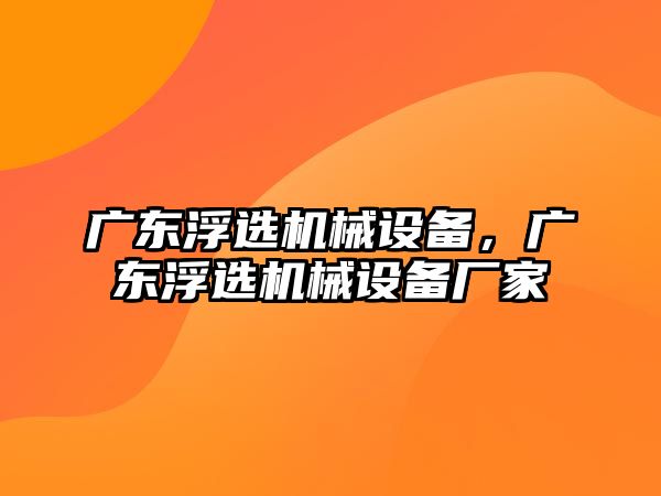 廣東浮選機(jī)械設(shè)備，廣東浮選機(jī)械設(shè)備廠家