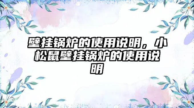 壁掛鍋爐的使用說明，小松鼠壁掛鍋爐的使用說明