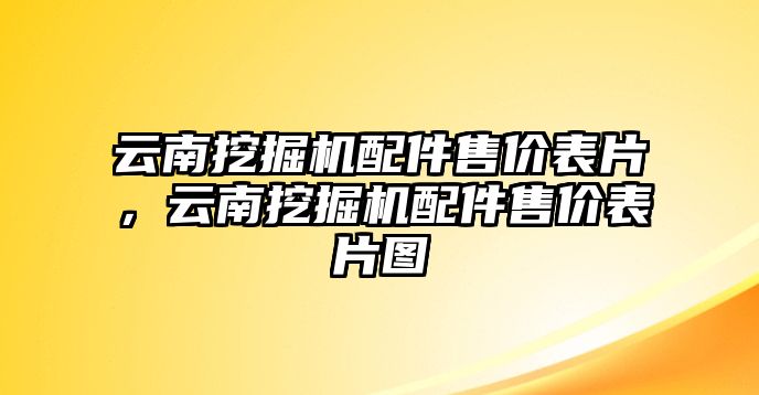 云南挖掘機(jī)配件售價(jià)表片，云南挖掘機(jī)配件售價(jià)表片圖